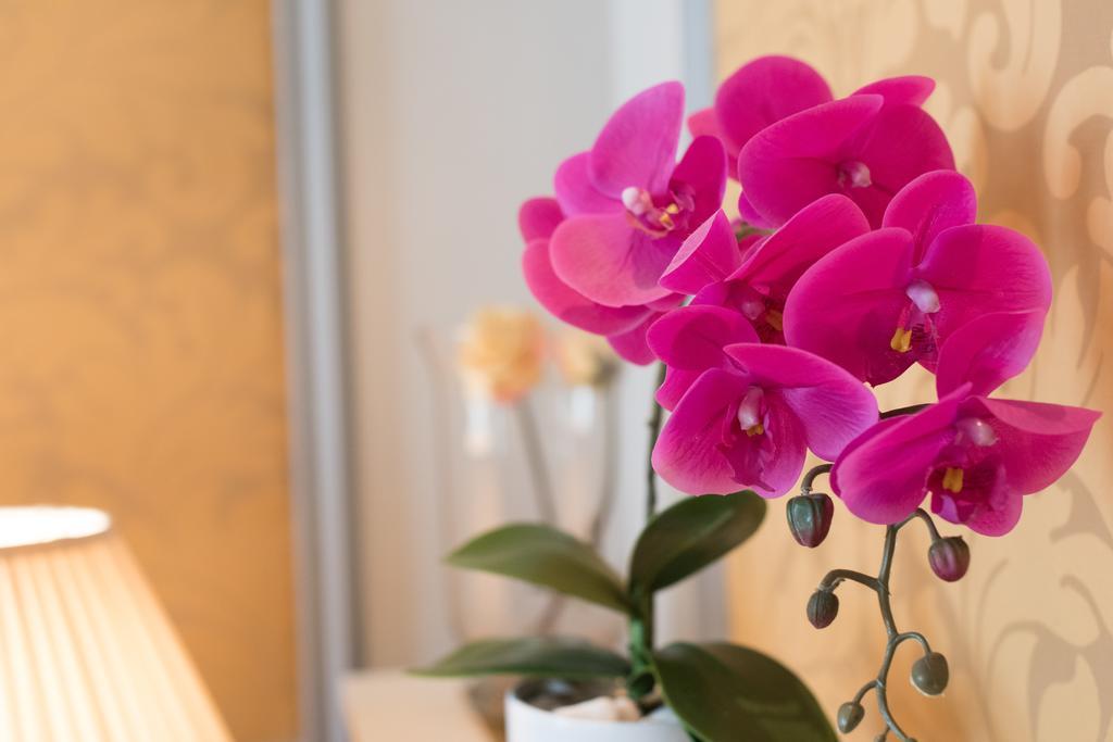 Arenberg Boutique Hotel Zentrum فيينا المظهر الخارجي الصورة